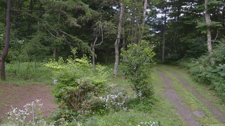 長野県菅平高原 ゆたか山荘 坂上 2026/08/03 09:30