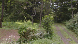 長野県菅平高原 ゆたか山荘 坂上 2026/08/03 09:45