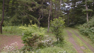 長野県菅平高原 ゆたか山荘 坂上 2026/08/03 10:00