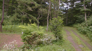 長野県菅平高原 ゆたか山荘 坂上 2026/08/03 10:15