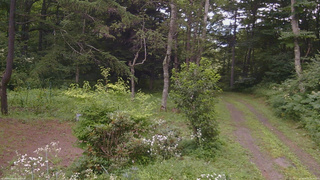 長野県菅平高原 ゆたか山荘 坂上 2026/08/03 10:30