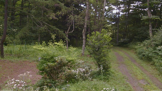 長野県菅平高原 ゆたか山荘 坂上 2026/08/03 10:45
