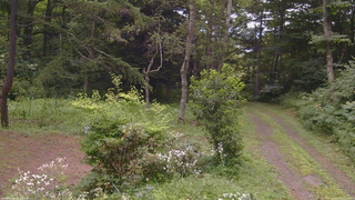 長野県菅平高原 ゆたか山荘 坂上 2026/08/03 11:00