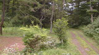 長野県菅平高原 ゆたか山荘 坂上 2026/08/03 11:15