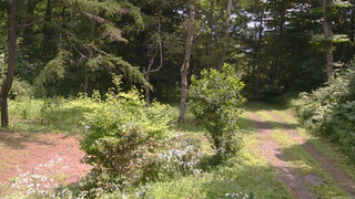 長野県菅平高原 ゆたか山荘 坂上 2026/08/03 11:30