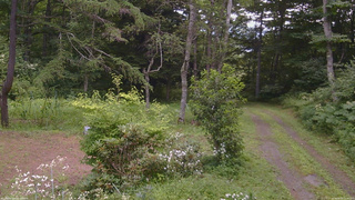 長野県菅平高原 ゆたか山荘 坂上 2026/08/03 11:45