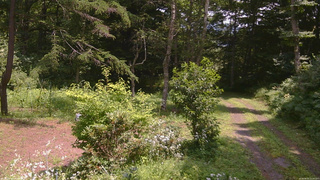 長野県菅平高原 ゆたか山荘 坂上 2026/08/03 12:00