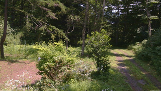 長野県菅平高原 ゆたか山荘 坂上 2026/08/03 12:15