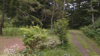 長野県菅平高原 ゆたか山荘 坂上 2026/08/03 12:45