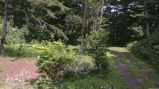 長野県菅平高原 ゆたか山荘 坂上 2026/08/03 13:15