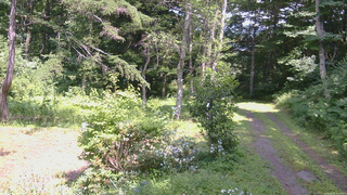 長野県菅平高原 ゆたか山荘 坂上 2026/08/03 13:30