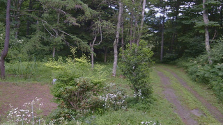 長野県菅平高原 ゆたか山荘 坂上 2026/08/03 13:45