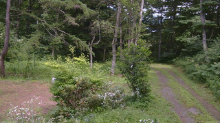 長野県菅平高原 ゆたか山荘 坂上 2026/08/03 14:00