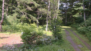 長野県菅平高原 ゆたか山荘 坂上 2026/08/03 14:15
