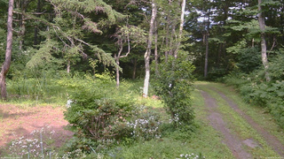 長野県菅平高原 ゆたか山荘 坂上 2026/08/03 14:30