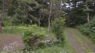 長野県菅平高原 ゆたか山荘 坂上 2026/08/03 14:45