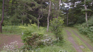 長野県菅平高原 ゆたか山荘 坂上 2026/08/03 15:00
