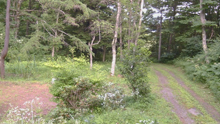 長野県菅平高原 ゆたか山荘 坂上 2026/08/03 15:15