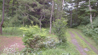 長野県菅平高原 ゆたか山荘 坂上 2026/08/03 15:30