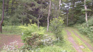 長野県菅平高原 ゆたか山荘 坂上 2026/08/03 15:45