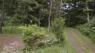 長野県菅平高原 ゆたか山荘 坂上 2026/08/03 16:00