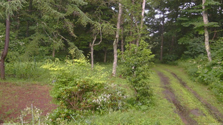 長野県菅平高原 ゆたか山荘 坂上 2026/08/03 16:30