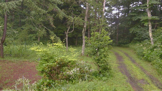 長野県菅平高原 ゆたか山荘 坂上 2026/08/03 16:45