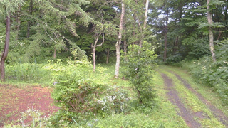 長野県菅平高原 ゆたか山荘 坂上 2026/08/03 17:15