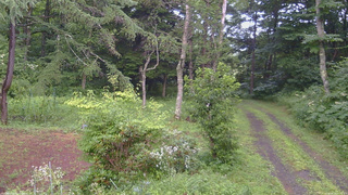 長野県菅平高原 ゆたか山荘 坂上 2026/08/03 17:30