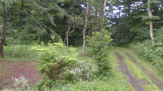 長野県菅平高原 ゆたか山荘 坂上 2026/08/03 17:45