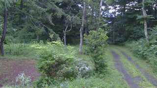 長野県菅平高原 ゆたか山荘 坂上 2026/08/03 18:30