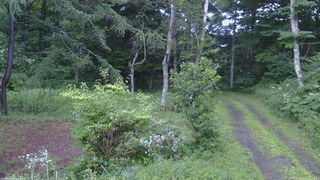 長野県菅平高原 ゆたか山荘 坂上 2026/08/03 18:45