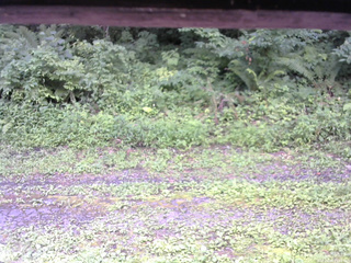 長野県菅平高原 ゆたか山荘 東側(坂下) 2026/08/04 11:45