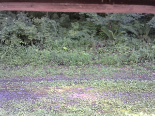 長野県菅平高原 ゆたか山荘 東側(坂下) 2026/08/04 14:45