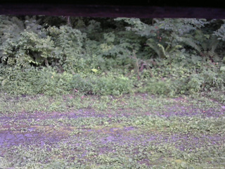 長野県菅平高原 ゆたか山荘 東側(坂下) 2026/08/04 17:15