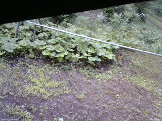 長野県菅平高原 ゆたか山荘 駐車場 2026/08/04 06:15
