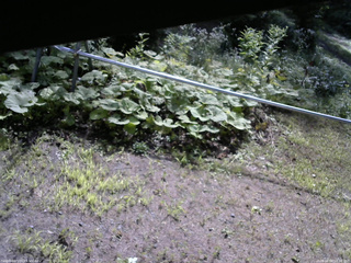 長野県菅平高原 ゆたか山荘 駐車場 2026/08/04 08:30