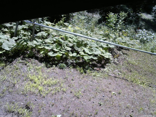 長野県菅平高原 ゆたか山荘 駐車場 2026/08/04 09:00