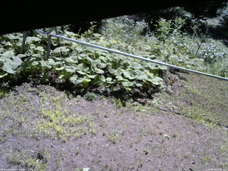 長野県菅平高原 ゆたか山荘 駐車場 2026/08/04 09:15