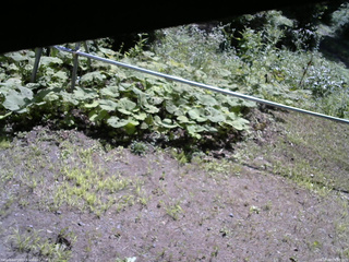 長野県菅平高原 ゆたか山荘 駐車場 2026/08/04 09:30