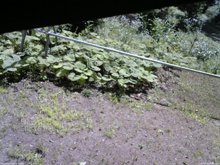 長野県菅平高原 ゆたか山荘 駐車場 2026/08/04 09:45