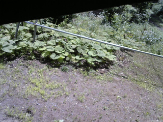 長野県菅平高原 ゆたか山荘 駐車場 2026/08/04 10:00