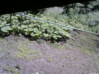 長野県菅平高原 ゆたか山荘 駐車場 2026/08/04 10:30