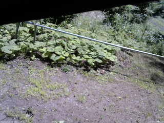 長野県菅平高原 ゆたか山荘 駐車場 2026/08/04 10:45