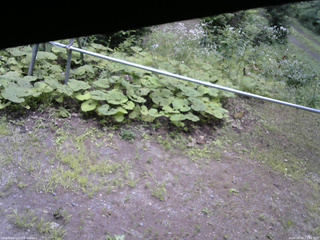 長野県菅平高原 ゆたか山荘 駐車場 2026/08/04 11:45