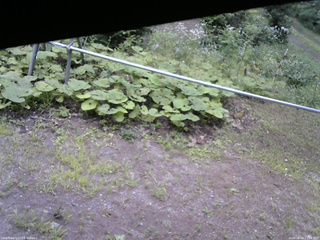 長野県菅平高原 ゆたか山荘 駐車場 2026/08/04 12:00