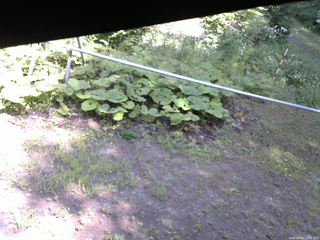 長野県菅平高原 ゆたか山荘 駐車場 2026/08/04 13:45