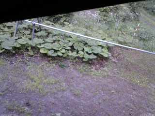 長野県菅平高原 ゆたか山荘 駐車場 2026/08/04 18:00