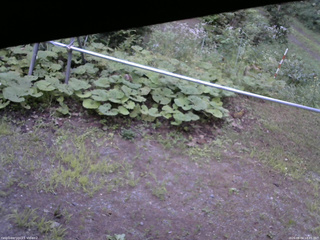長野県菅平高原 ゆたか山荘 駐車場 2026/08/04 18:45