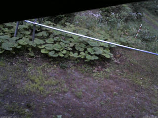 長野県菅平高原 ゆたか山荘 駐車場 2026/08/04 19:00